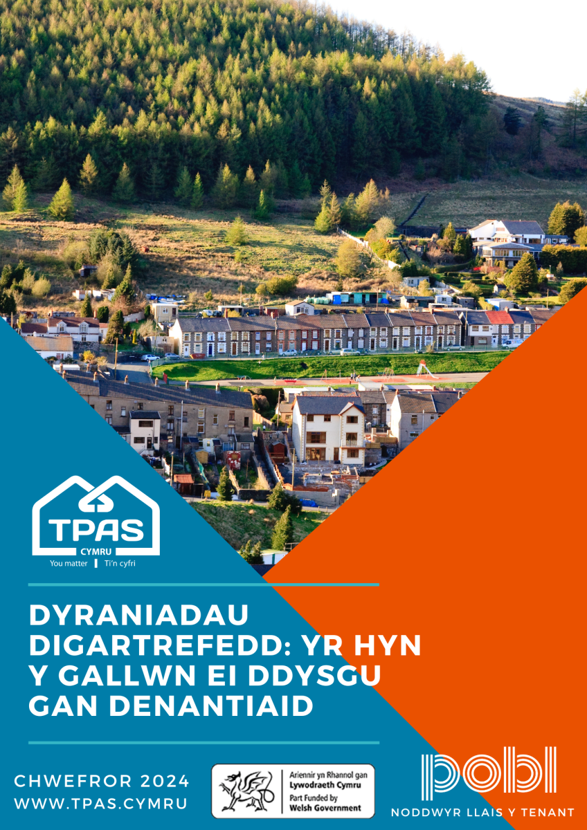 Dyraniadau Digartrefedd Yr Hyn Y Gallwn Ei Ddysgu Gan Denan